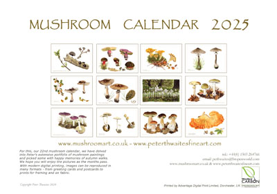 Mushroom art calendar 2025