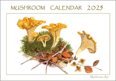 Mushroom calendar 2025