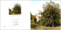 St Winnow greetings card