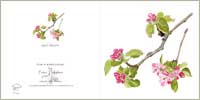 apple blossom printed greeting card