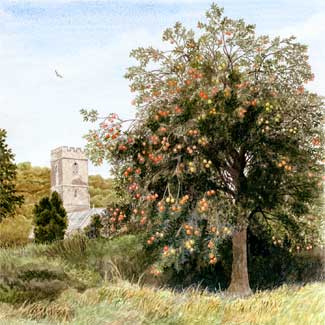 St Winnow