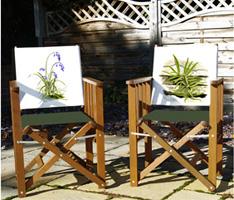 Folding garden chairs with botanical back panels printed from watercolour paintings by Peter Thwaites 