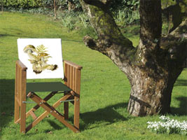 Director's chair printed with botanical image of Ceps from a watercolour painting by Peter Thwaites