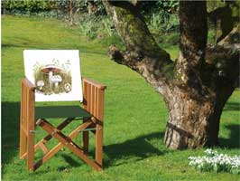 directors_chair_field_mushrooms