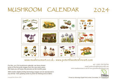 Mushroom calendar 2024  printed from watercolour paintings by Peter Thwaites