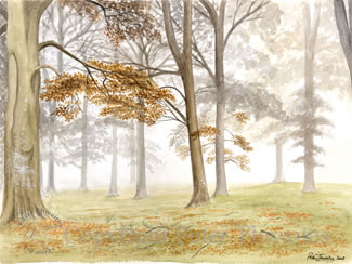 Wellington Piece, fine art print from watercolour painting by Peter Thwaites