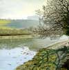 By  Terras Bridge, SE Cornwall,  acrylic on canvas by Peter Thwaites