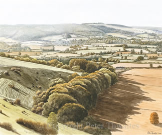 Hambledon Hill in Autumn, fine art print from watercolour painting by Peter Thwaites