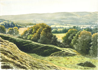 At the foot of Hambledon Hill, fine art print by Peter Thwaites