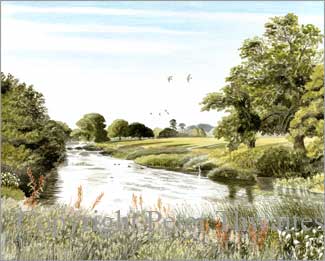 The River Stour below Canford, fine art print from watercolour painting by Peter Thwaites