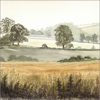 Cornfield in early morning, printed from a watercolour painting by Peter Thwaites
